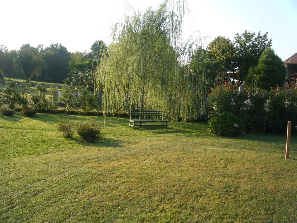 B&B Il Salice Veruno Exteriör bild