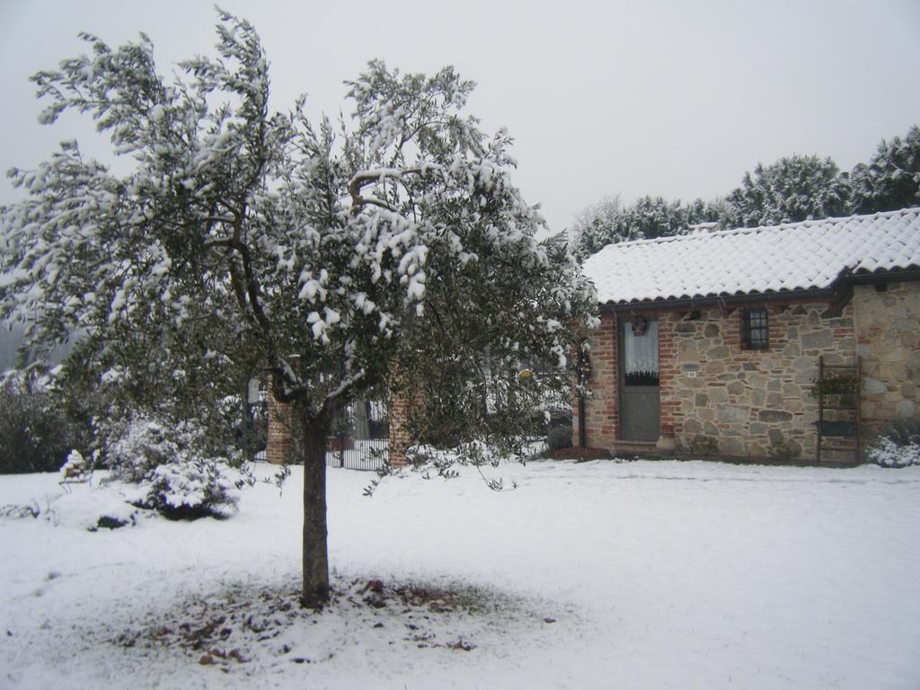 B&B Il Salice Veruno Exteriör bild